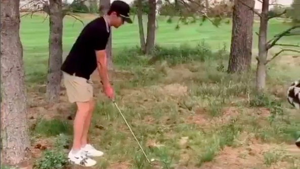 WATCH: Golfer clatters ball off a tree and into someones car!
